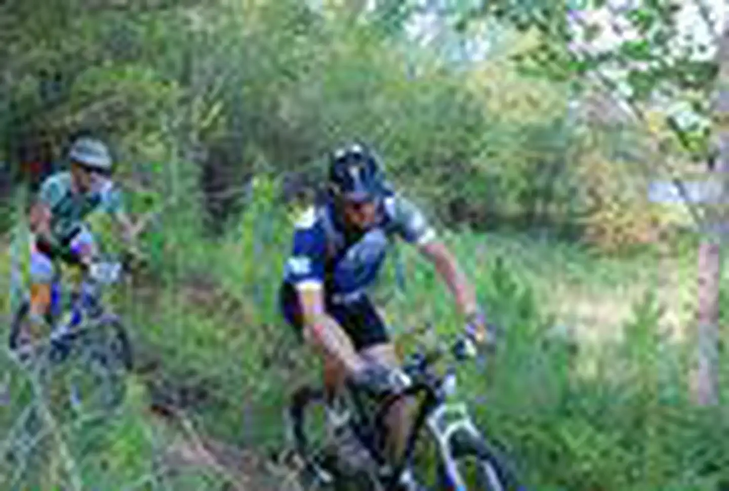 Clear Creek Day Use Area (MS) photo 2