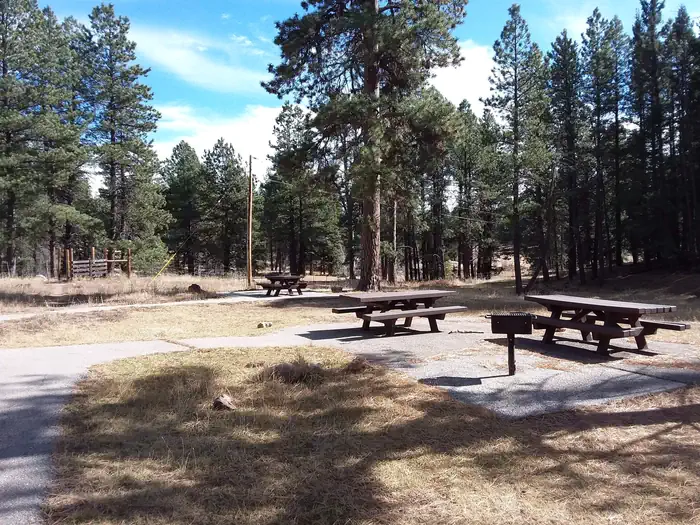 Clear Creek Group Campground (NM) photo 4