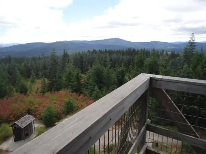 CLEAR LAKE CABIN LOOKOUT photo 3