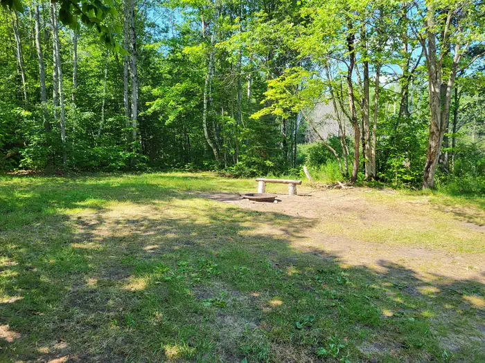 Clear Lake Campsite photo 2