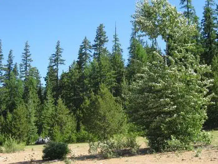 CLEAR LAKE (OR) photo 5