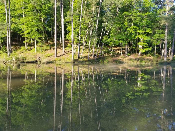 Clear Springs Recreation Area (MS) photo 3