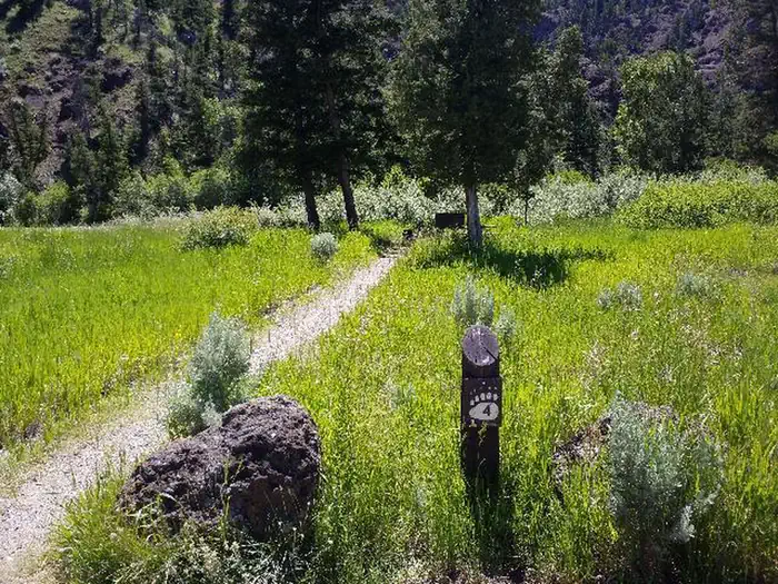 CLEARWATER CAMPGROUND photo 2