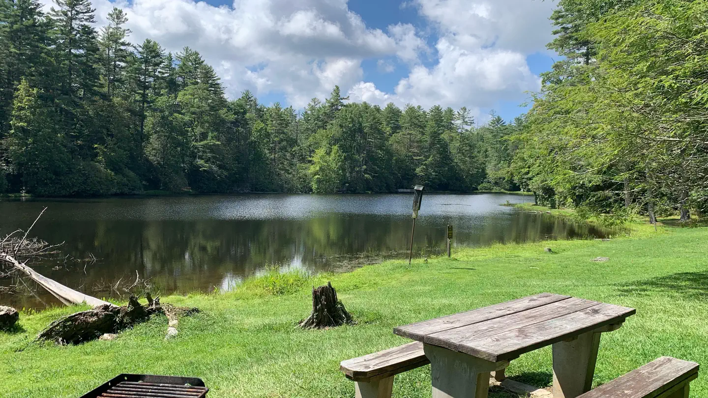 Cliffside Lake Shelters photo