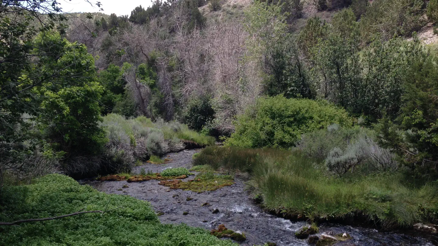 Clover Springs Campground photo