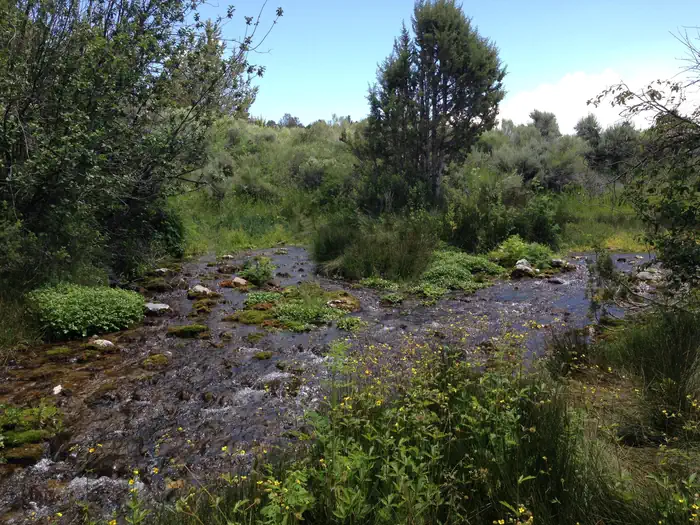 Clover Springs Campground photo 4