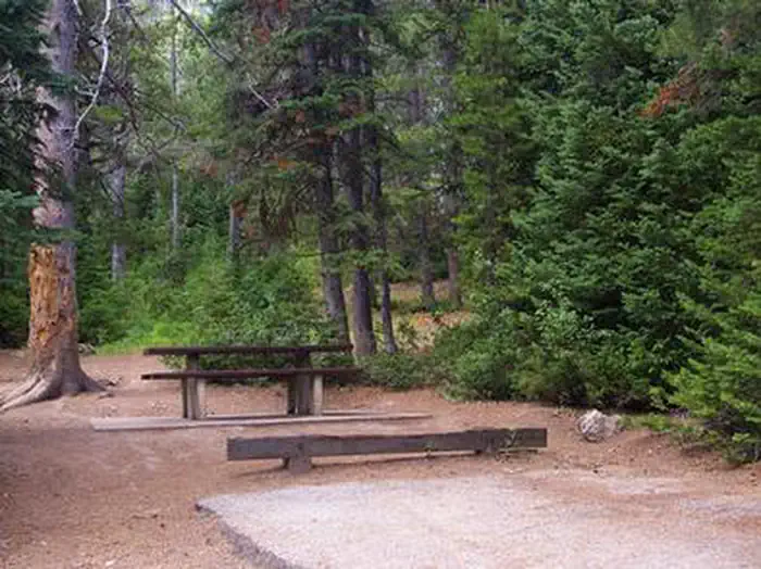 CLOVERLEAF CAMPGROUND photo