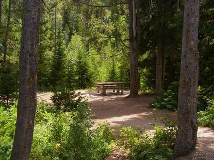 CLOVERLEAF CAMPGROUND photo 2