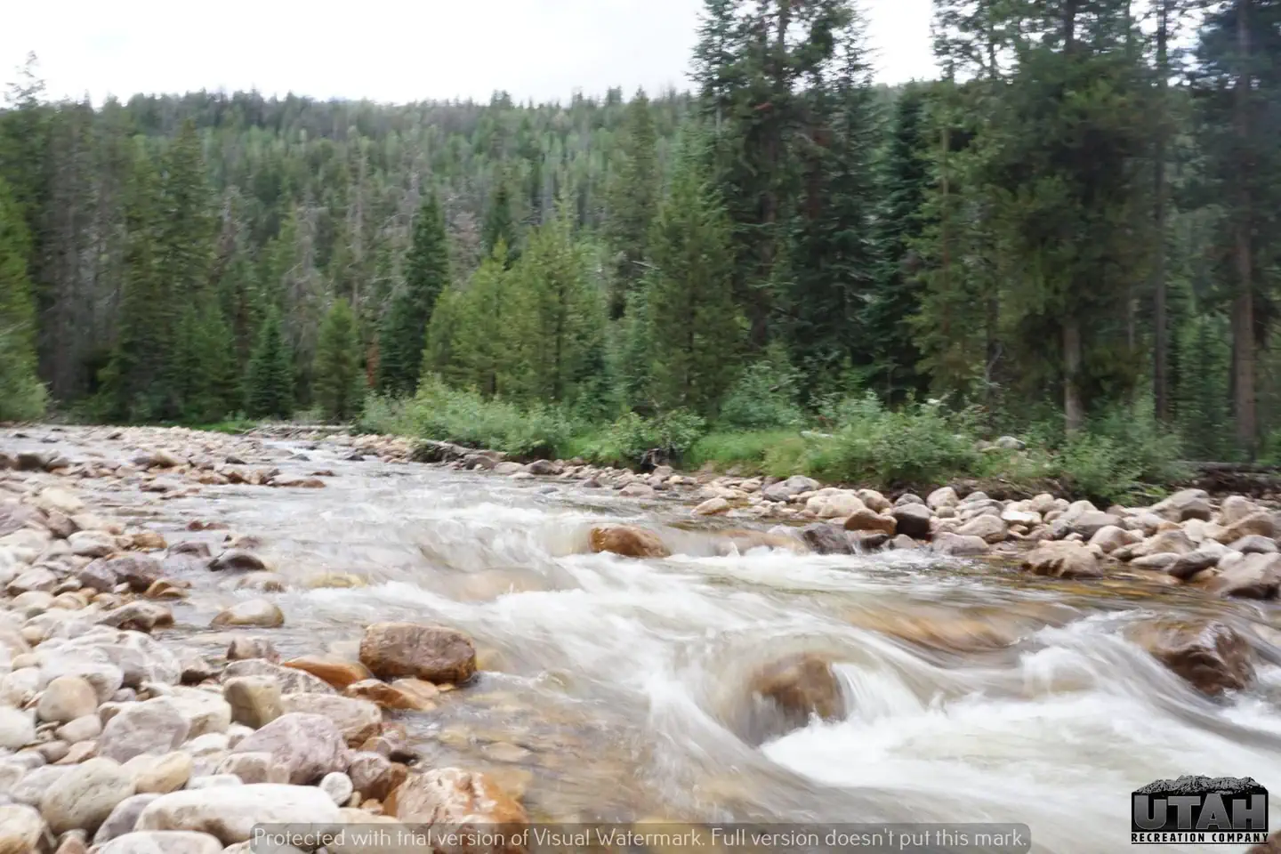 Cobblerest Campground photo 2