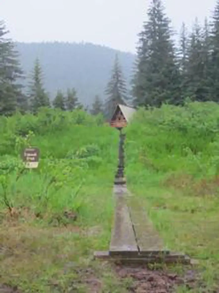 COGHILL LAKE CABIN photo 4