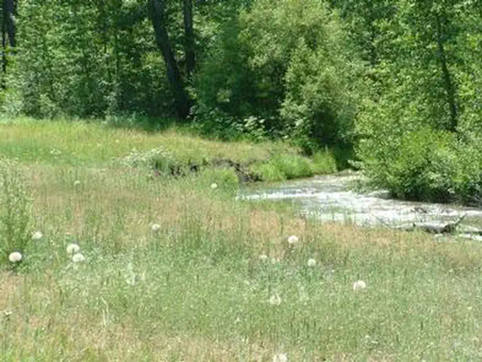 COLD CREEK photo 3