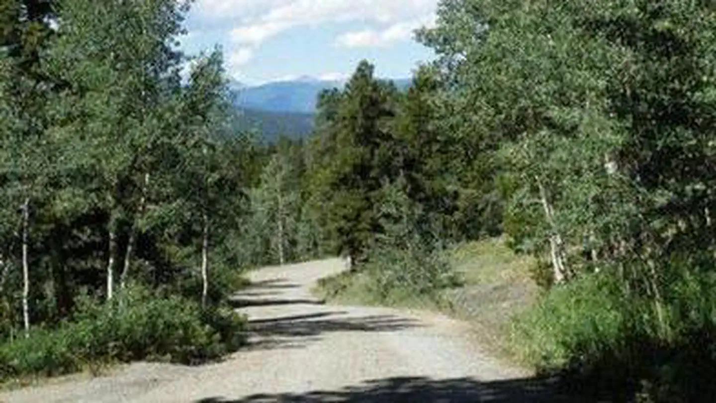 Cold Springs - Arapaho Roosevelt NF (CO) photo