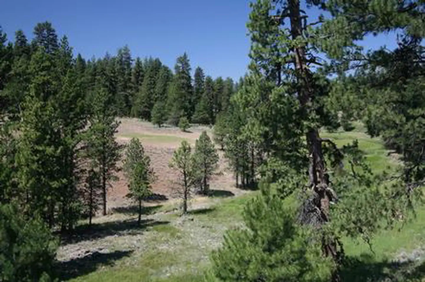 Cold Springs Cabin - Ochoco NF (OR) photo 4
