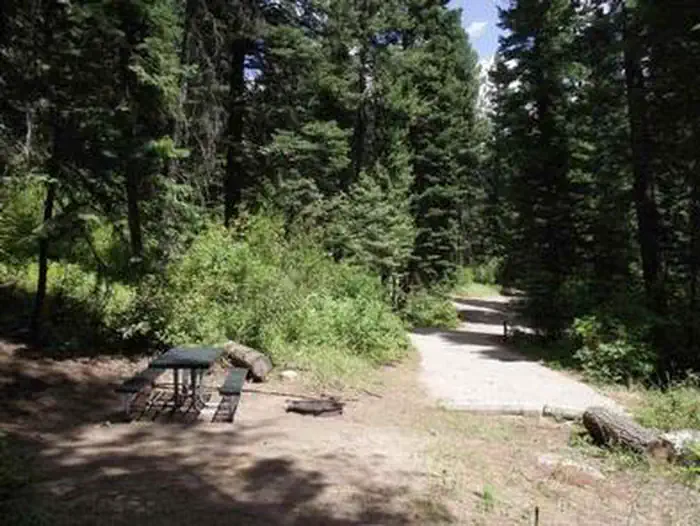 Cold Springs Campground - Boise NF (ID) photo 5
