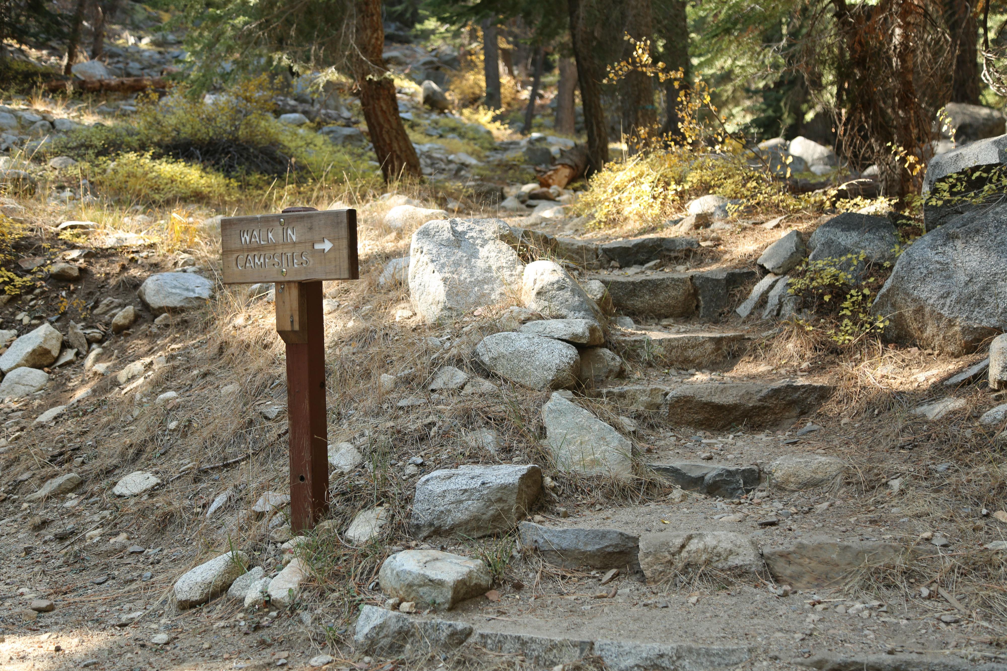 Cold Springs Campground (CA) photo 2