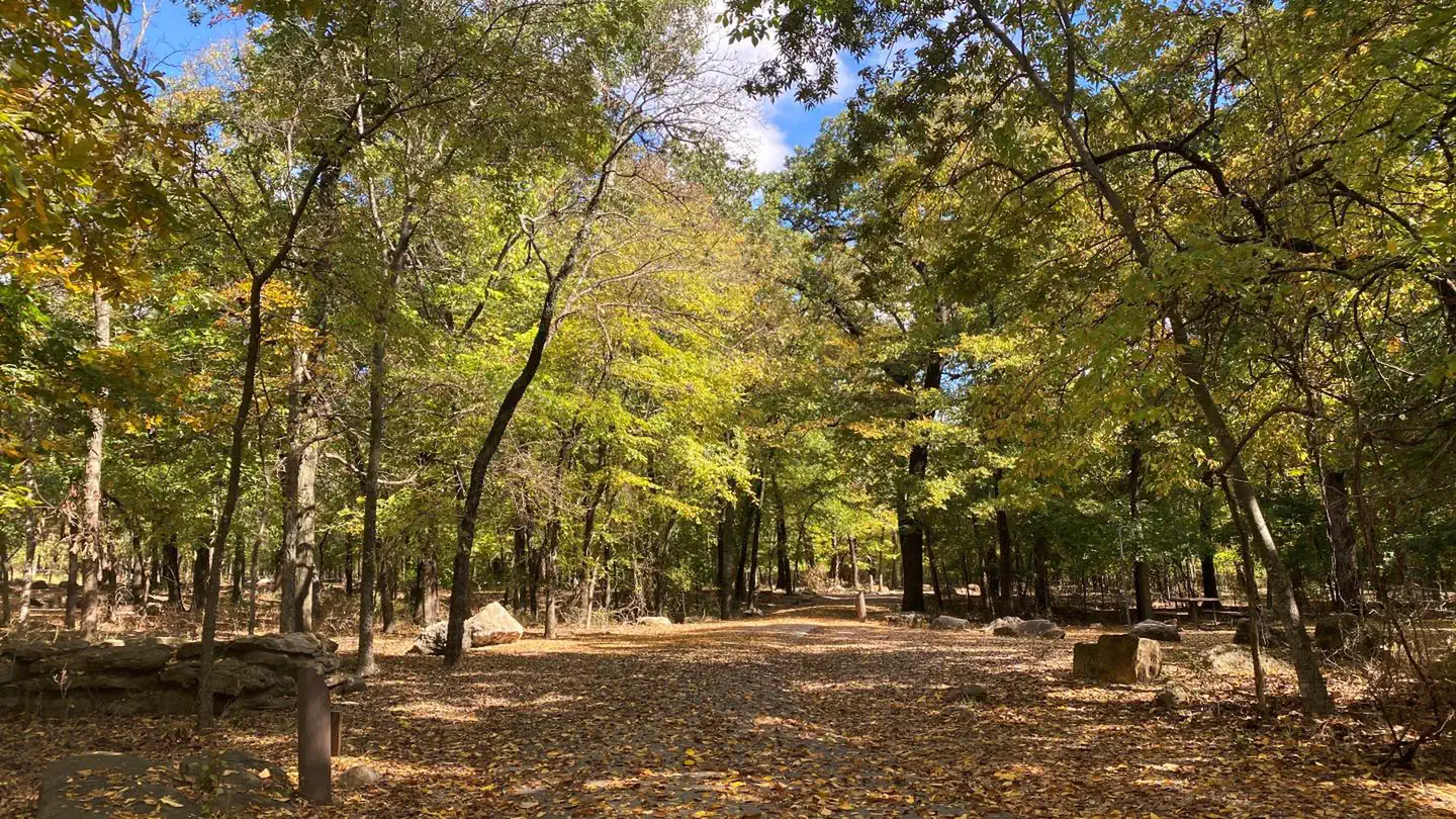 Cold Springs Campground (Chickasaw) photo