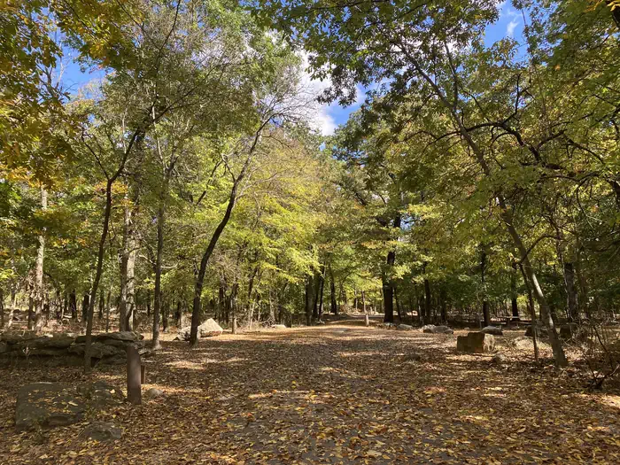 Cold Springs Campground (Chickasaw) photo 4