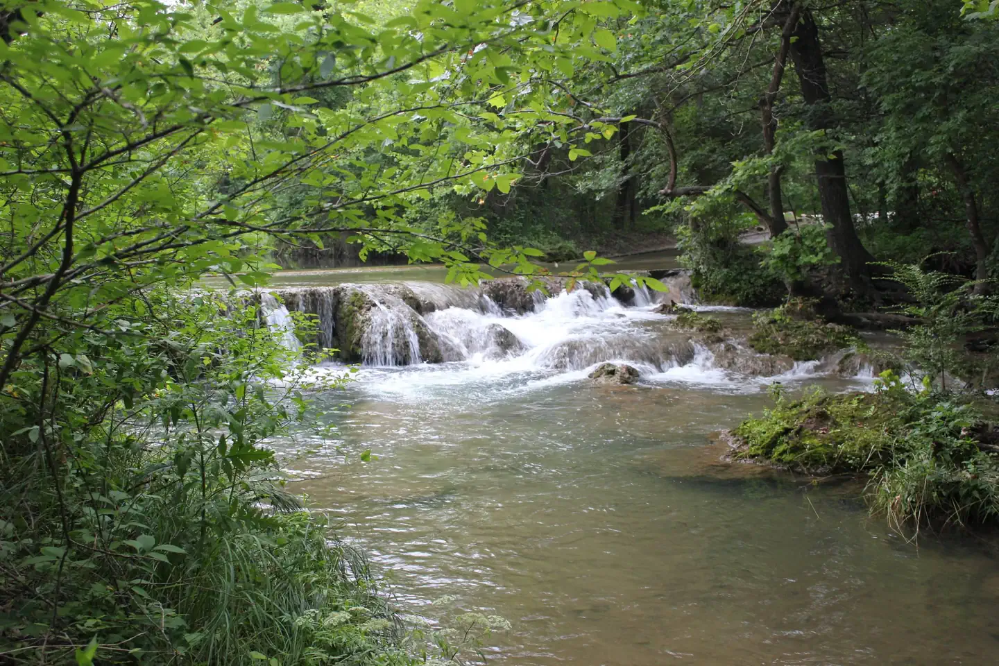 Cold Springs Campground (Chickasaw) photo 5