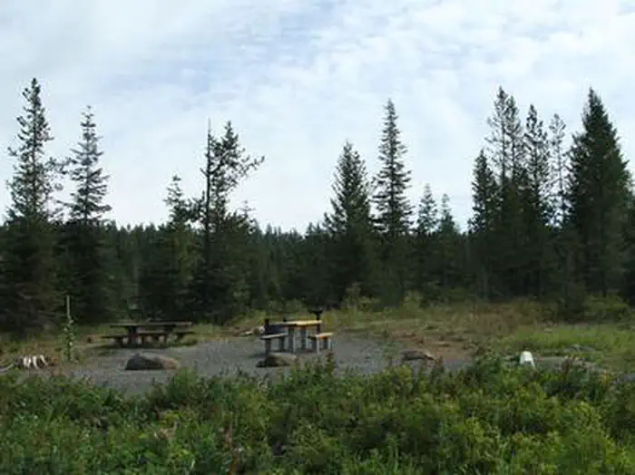 Cold Springs Campground - Payette NF (ID) photo 3