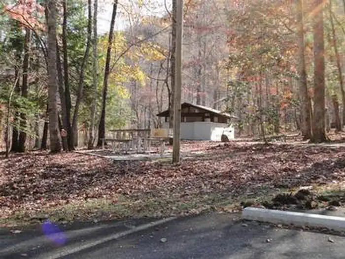 COLLINS CREEK PICNIC PAVILION photo 5