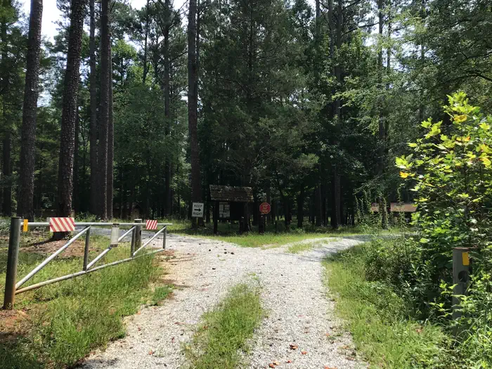 Collins Creek Seasonal Campground (SC) photo