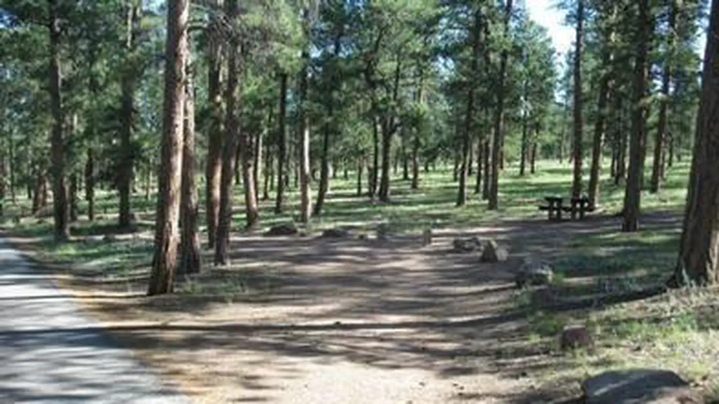 COLORADO CAMPGROUND photo