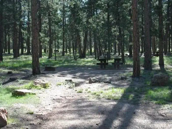 COLORADO CAMPGROUND photo 3