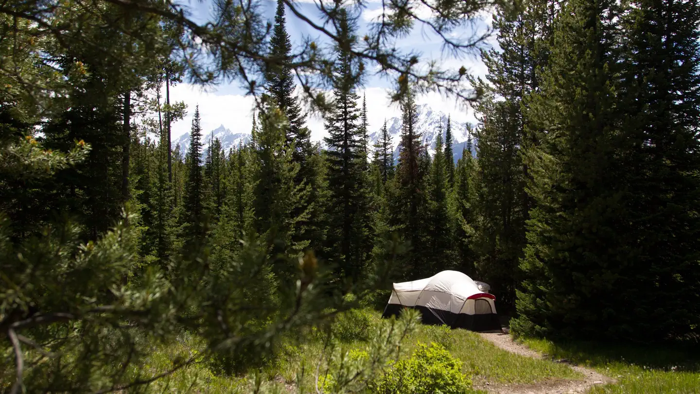 Colter Bay Campground photo
