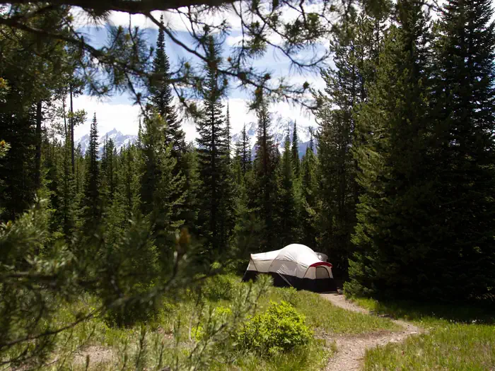 Colter Bay Campground photo 4