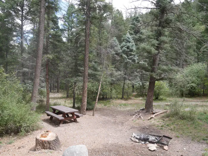 COLUMBINE CAMPGROUND (NM) photo 4