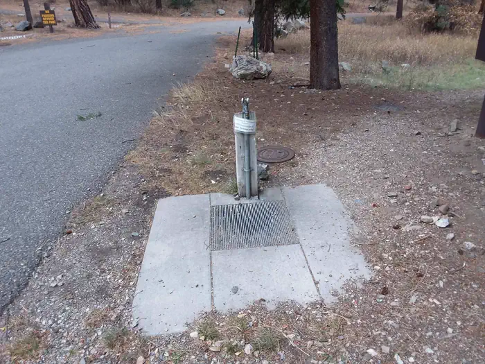 COLUMBINE CAMPGROUND (NM) photo 5