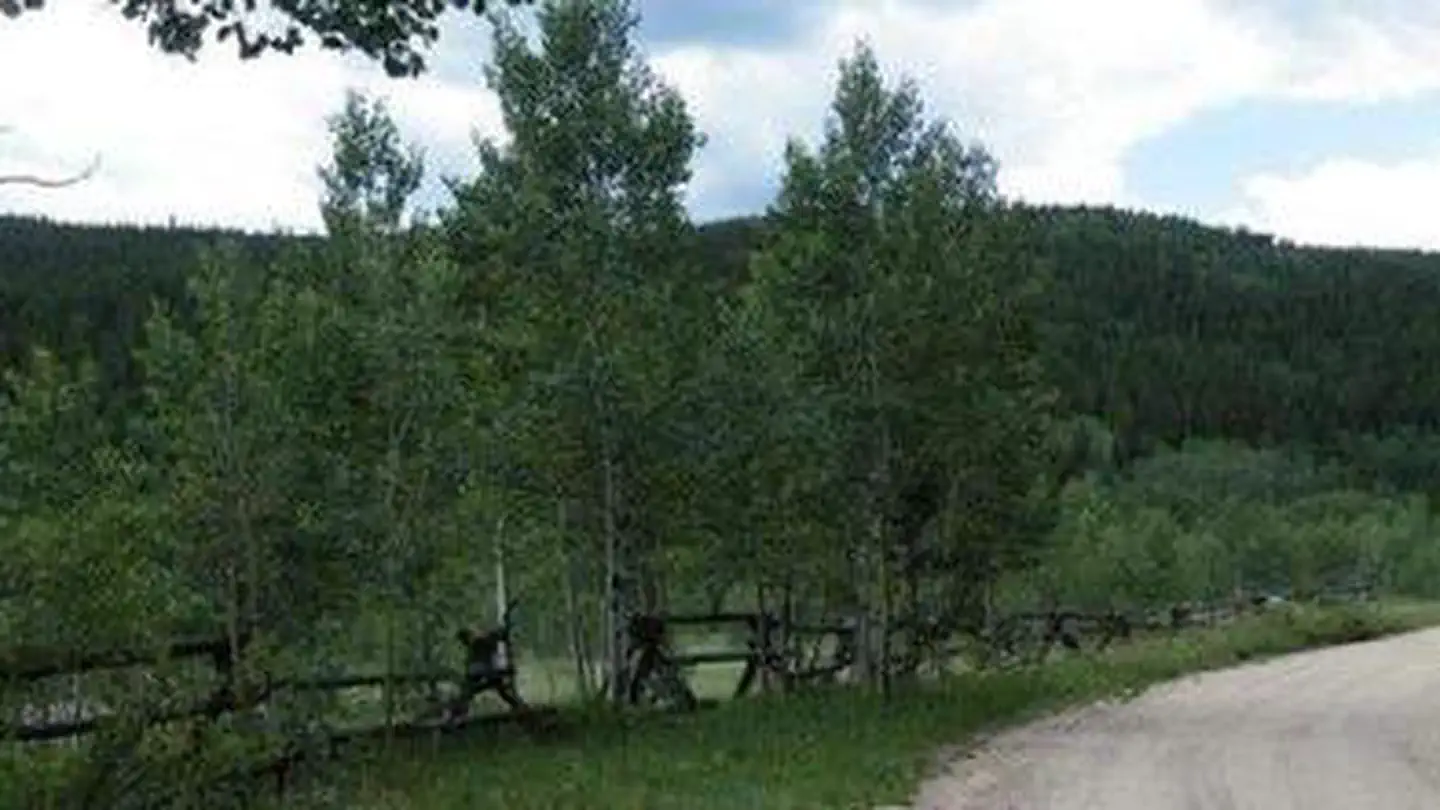 COLUMBINE CAMPGROUND photo