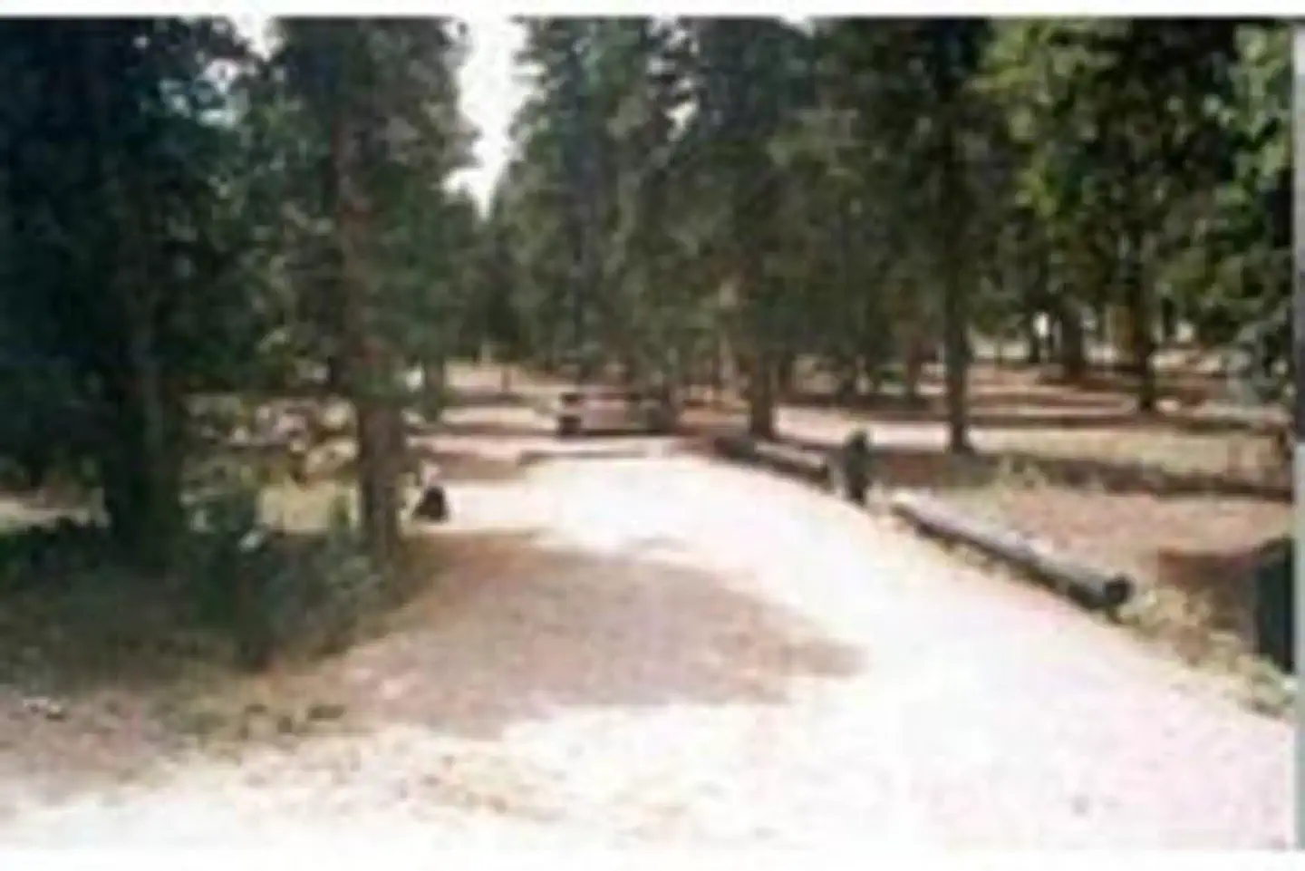 COLUMBINE CAMPGROUND photo 2