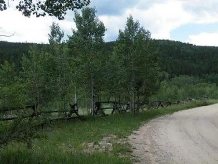 COLUMBINE CAMPGROUND photo 4