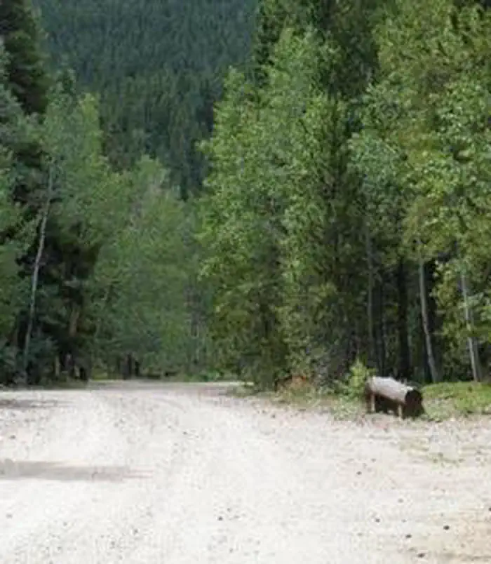 COLUMBINE CAMPGROUND photo 5
