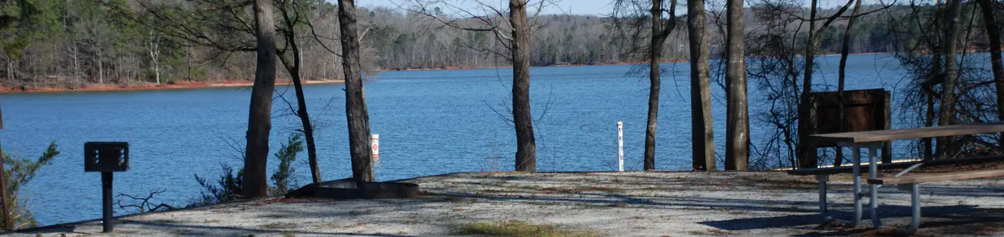 CONEROSS PARK photo