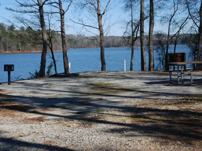 CONEROSS PARK photo 2