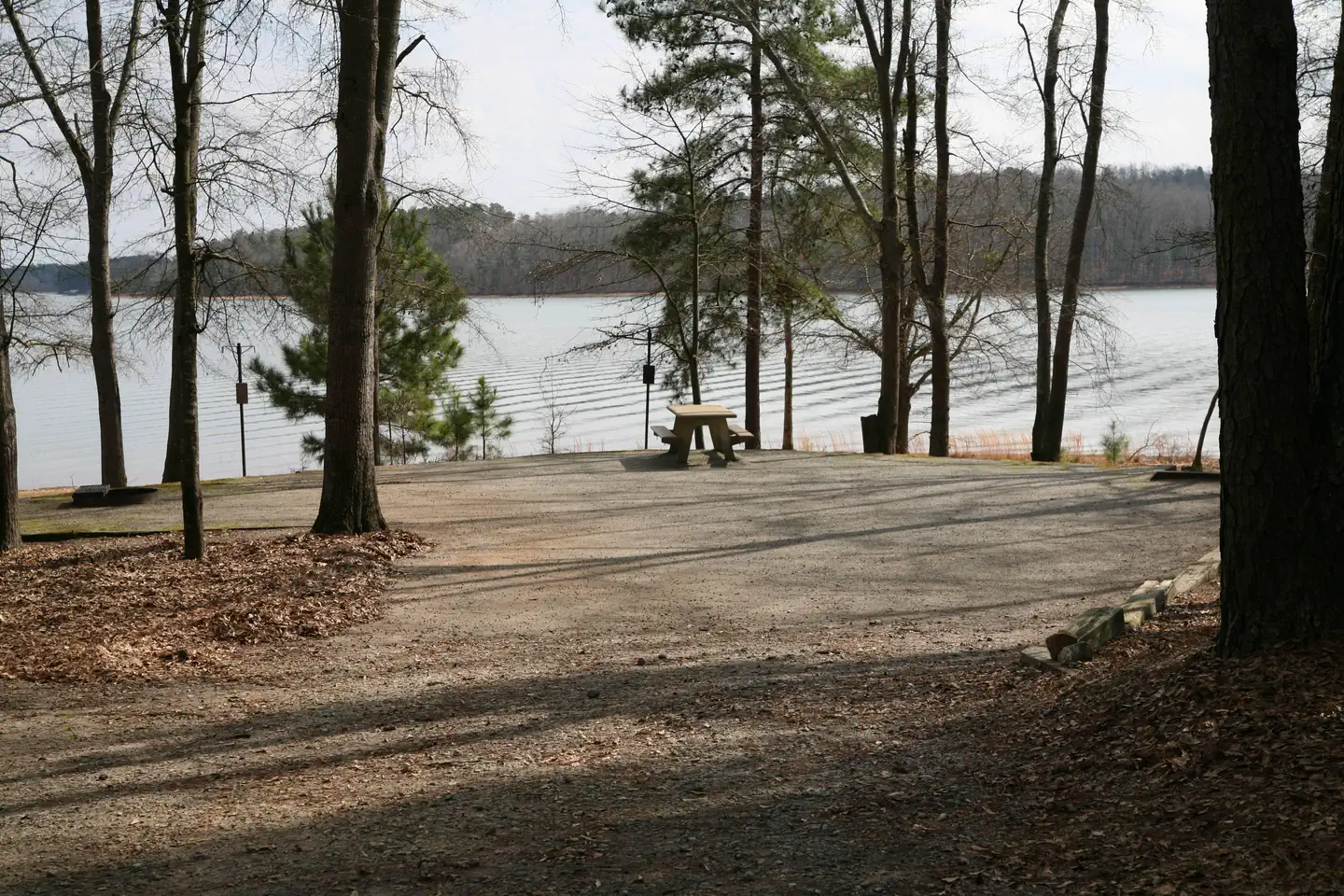 CONEROSS PARK photo 3