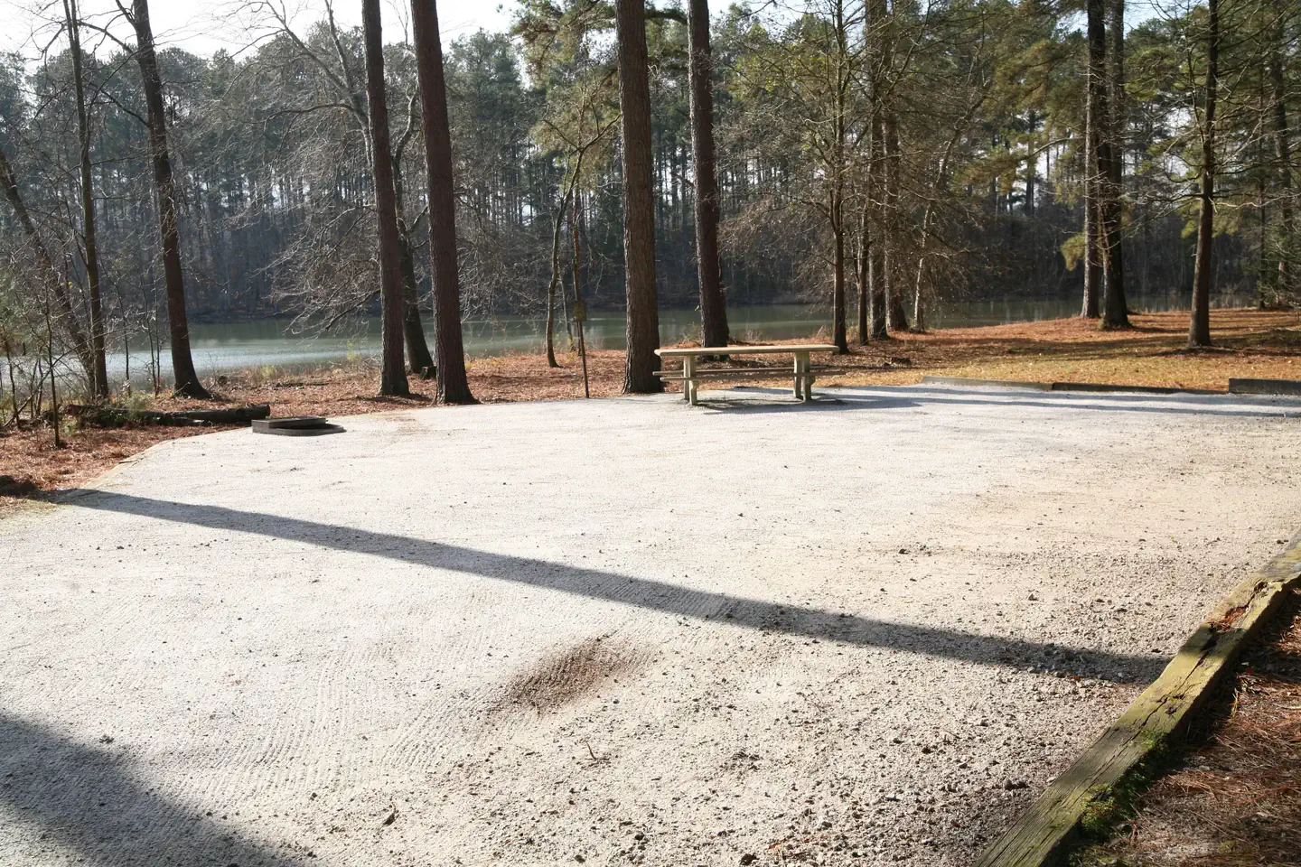 CONEROSS PARK photo 4
