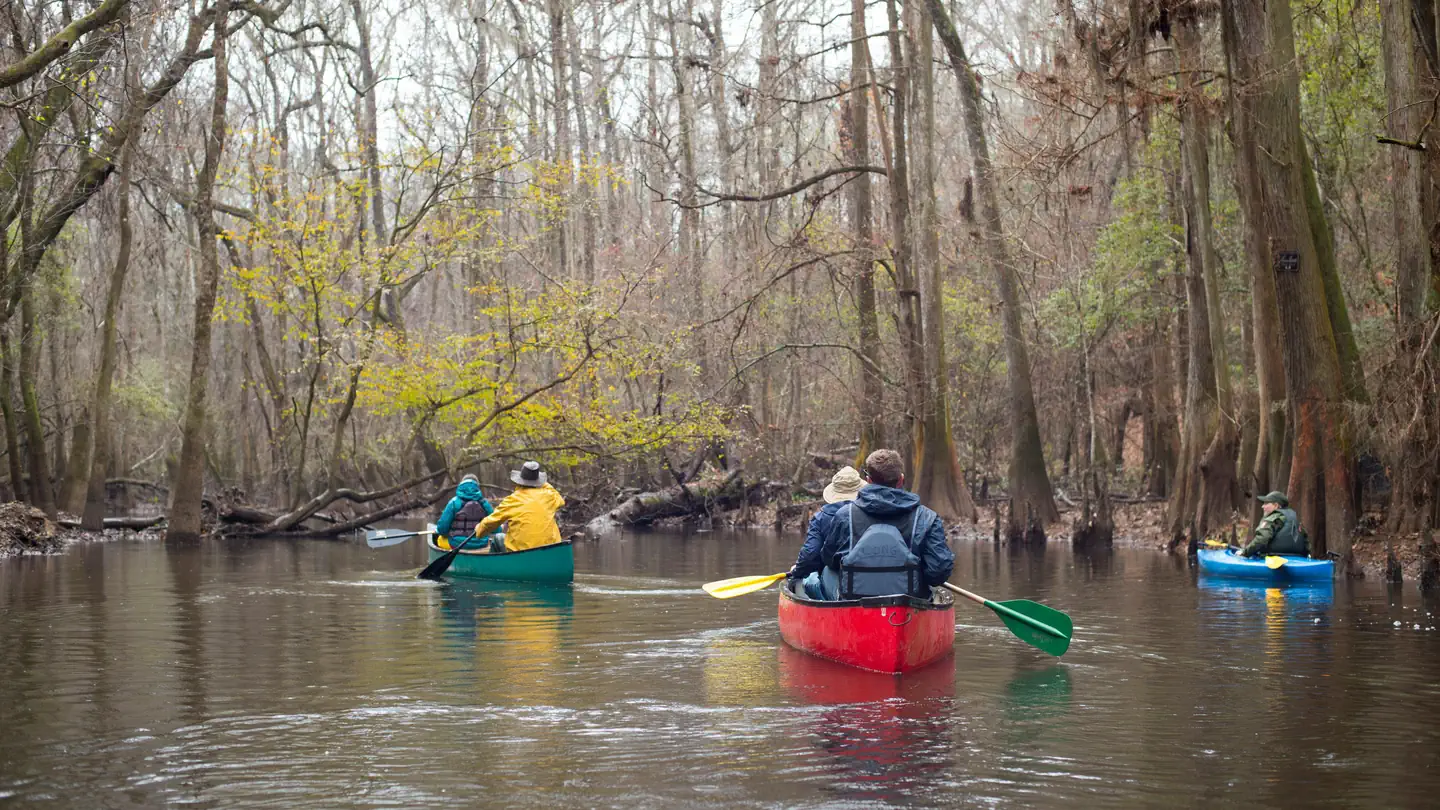 Congaree National Park Ranger-Guided Canoe Tours photo