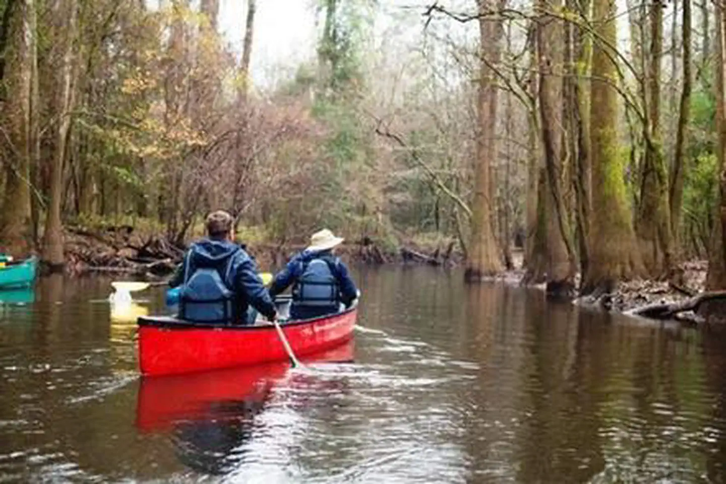 Congaree National Park Ranger-Guided Canoe Tours photo 2