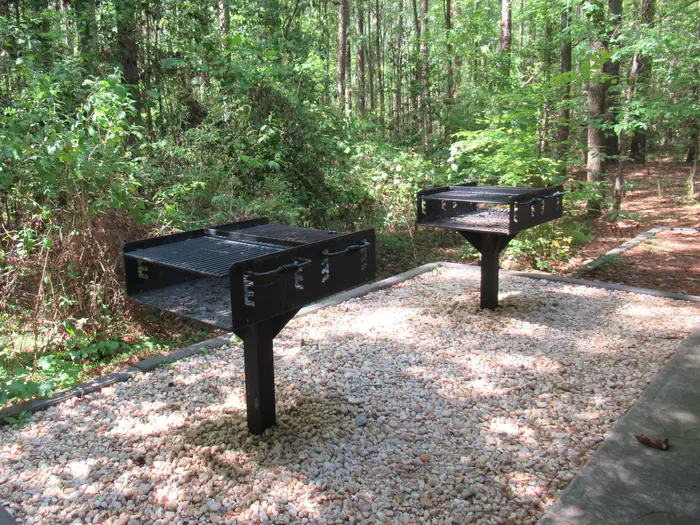Congaree Picnic Shelter photo 3