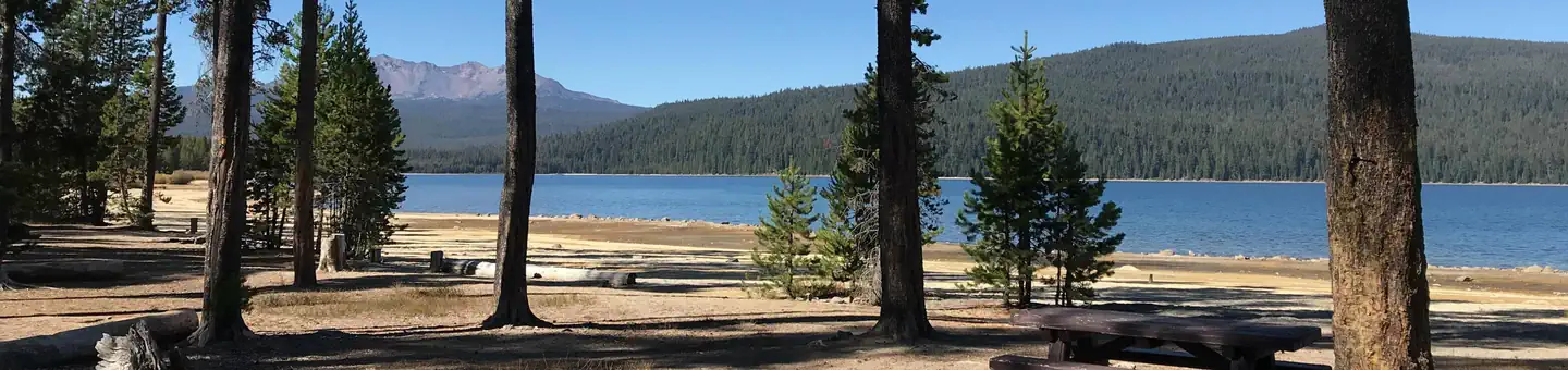 Contorta Flat Campground photo