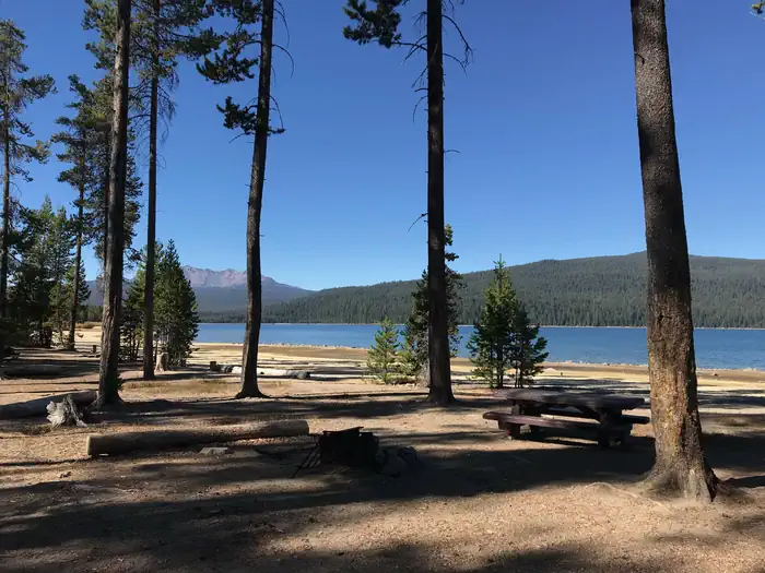 Contorta Flat Campground photo 3