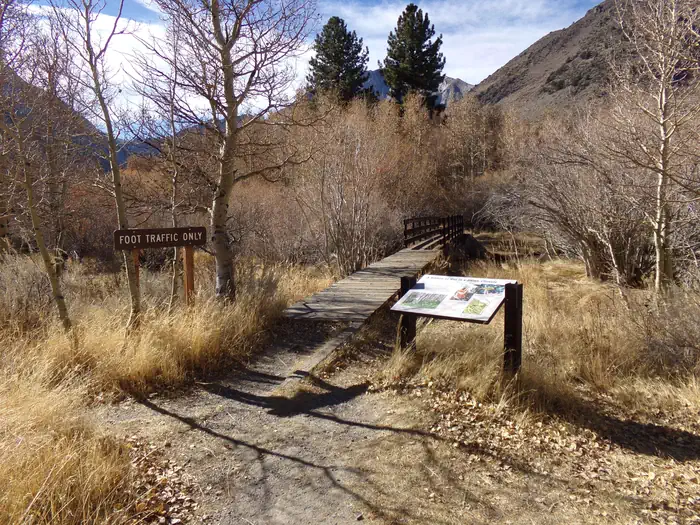 CONVICT LAKE CAMPGROUND photo 5