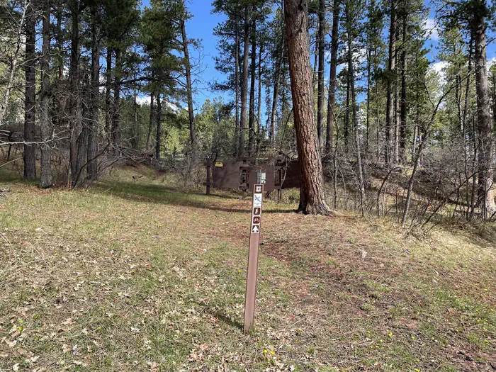 COOK LAKE REC AREA photo 3