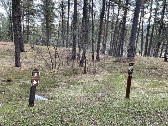 COOK LAKE REC AREA photo 5