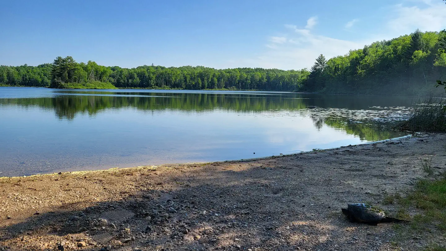 Cookson Lake Campsites photo