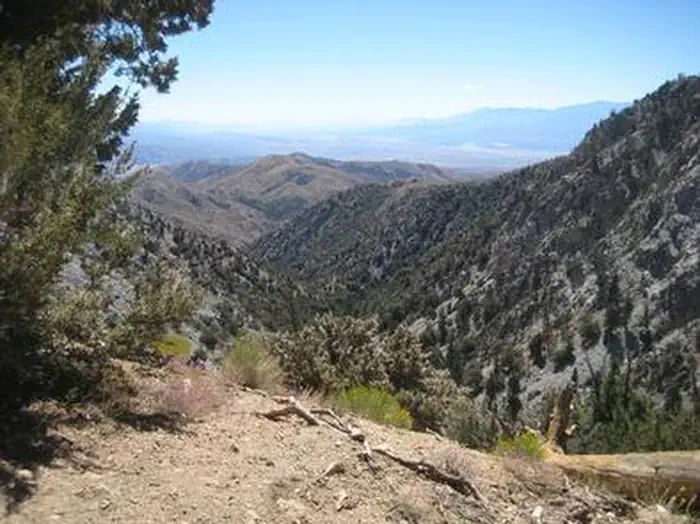 COON CREEK GROUP CAMPGROUND photo 5