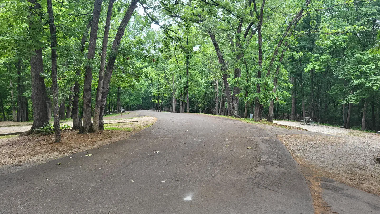 COON CREEK (IL) photo 2